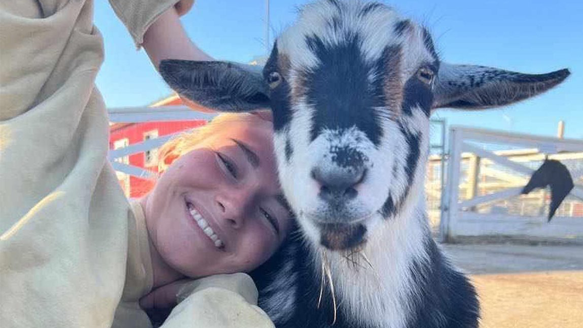 Things To Do This Weekend March 29-31, 2024